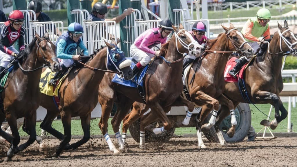 grand national winners